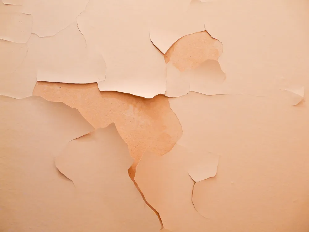 pose de papier peint à Salies-de-Béarn