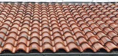 démoussage de toiture à Salies-de-Béarn